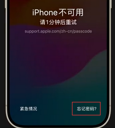 白玉苹果手机密码维修分享iPhone忘记了刚设置的密码 