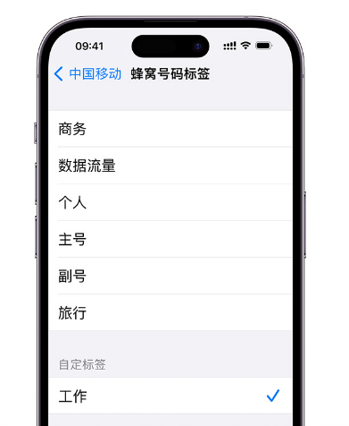 如何在 iPhone 上使用双卡？iPhone 双卡功能常见问题解答